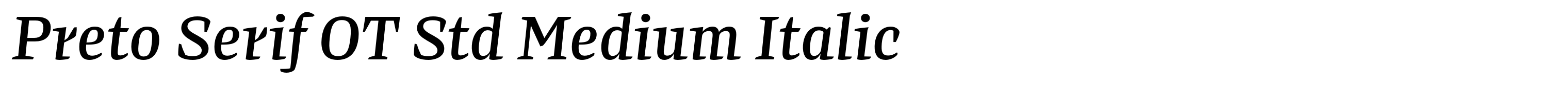 Preto Serif OT Std Medium Italic